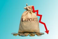 کاهش صادرات نتیجه قیمت‌گذاری دستوری