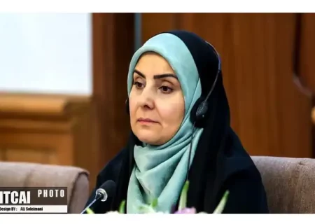  فرزانه صادق: دنبال استیضاح کننده متخصص گشتم نبود، نگرد، نیست!