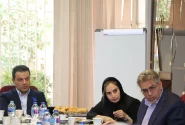بررسی بحران کمبود کارنه تیر، چالشهای موجود و راهکارهای جایگزین
