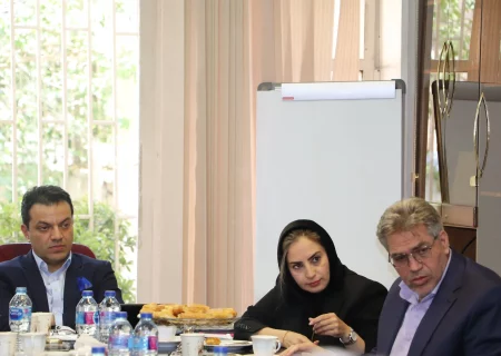 بررسی بحران کمبود کارنه تیر، چالش‌های موجود و راهکارهای جایگزین